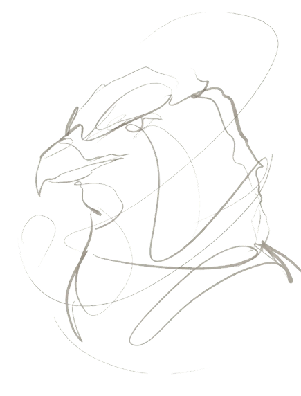 Eagle Sketch