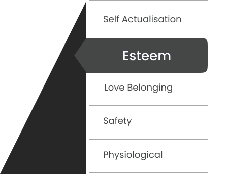Maslow Pyramid pointing to Esteem